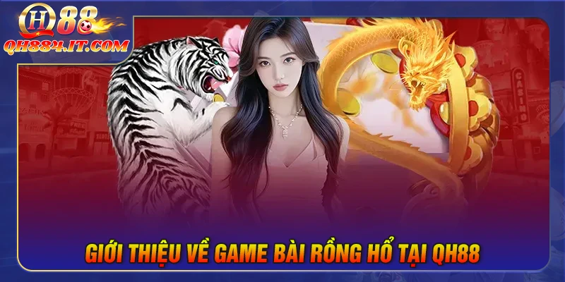 Rồng hổ tại QH88 là gì?
